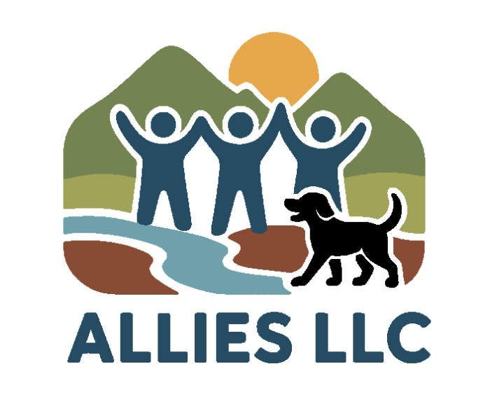 Allies, LLC logo